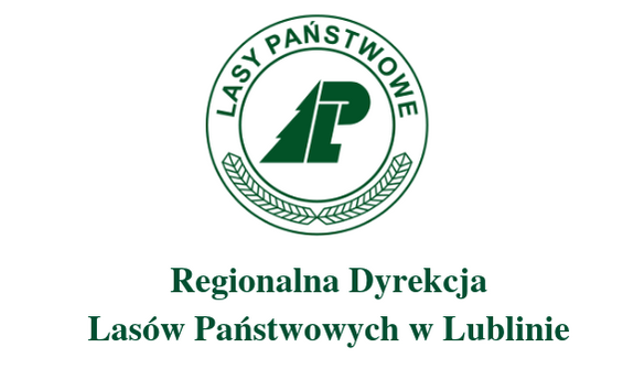 Staż budowalny w Regionalnej Dyrekcji Lasów Państwowych w Lublinie